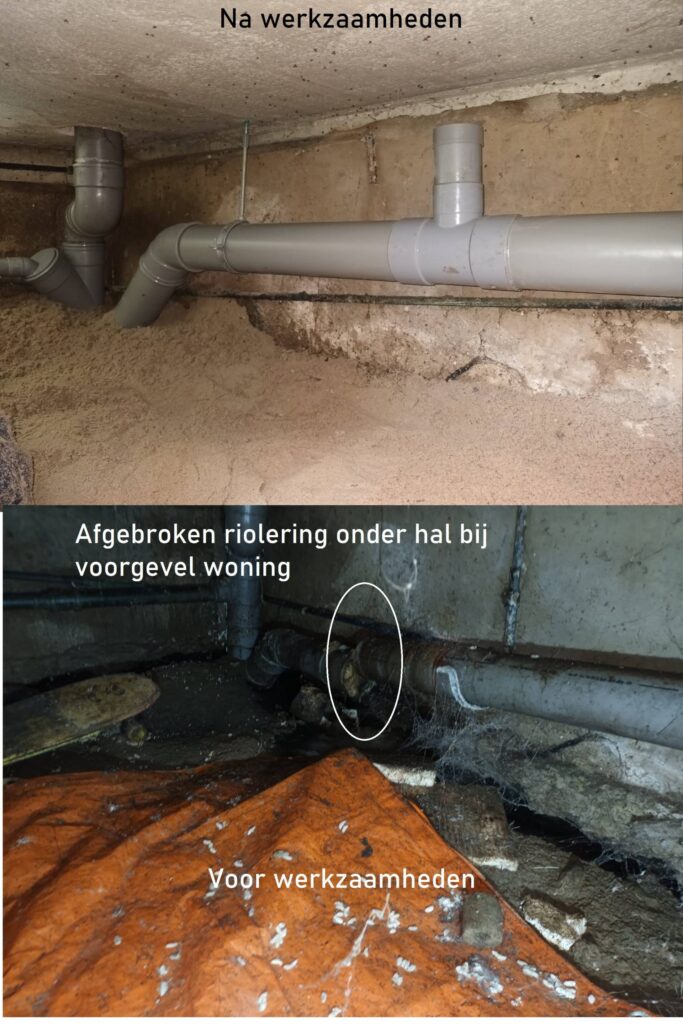 Portfolio afbeelding