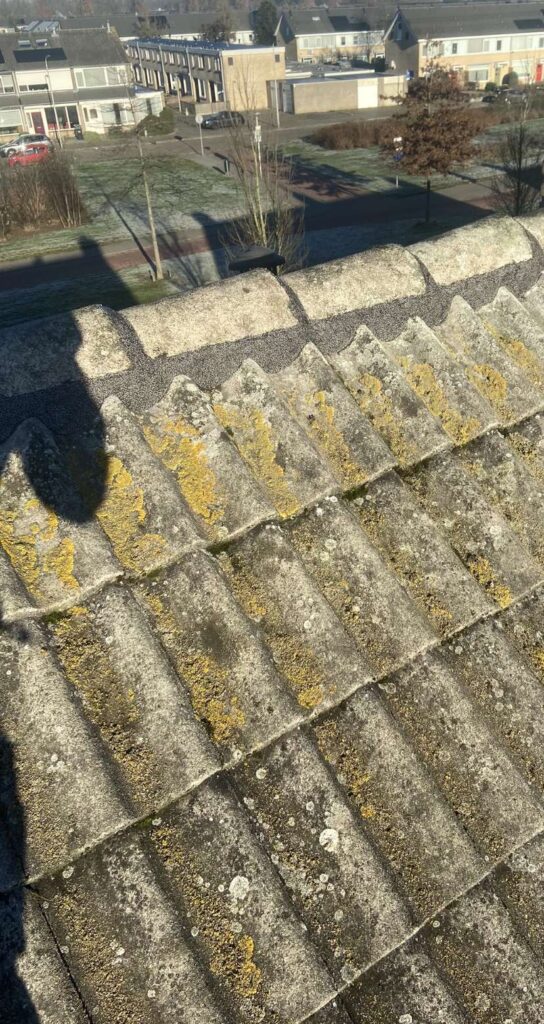 Portfolio afbeelding