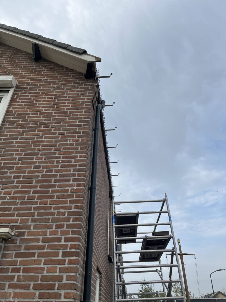 Portfolio afbeelding