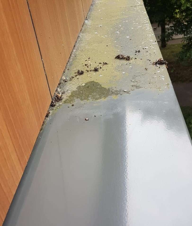 Portfolio afbeelding