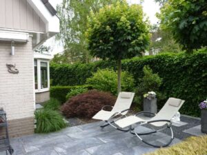 Portfolio afbeelding