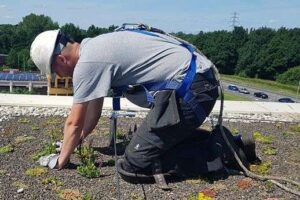 Portfolio afbeelding