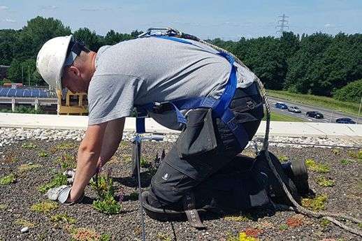 Portfolio afbeelding