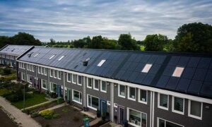 Portfolio afbeelding