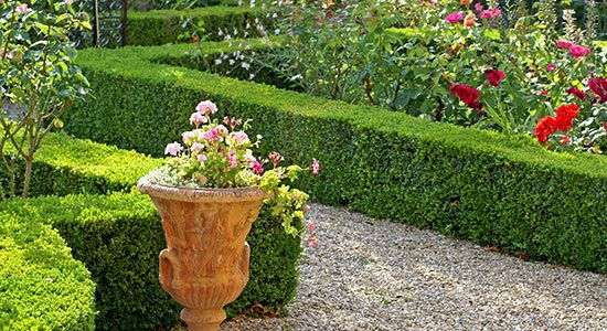 Portfolio afbeelding