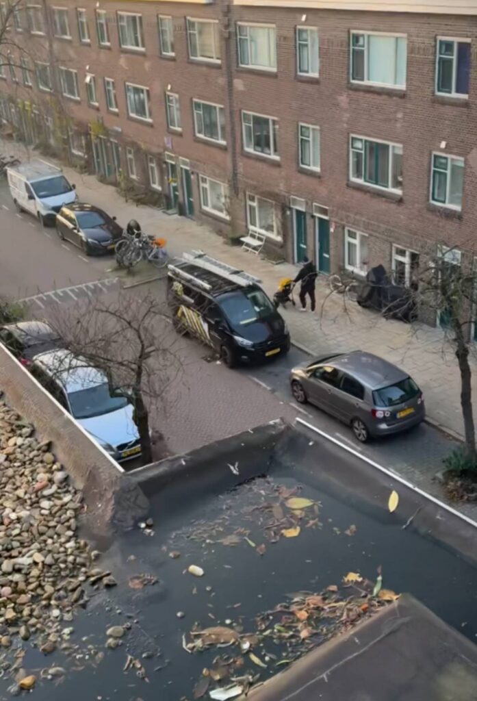 Portfolio afbeelding