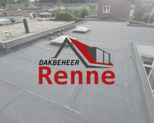 Dakbeheer Renne