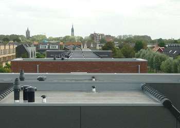 Portfolio afbeelding