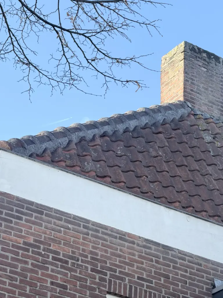 Portfolio afbeelding