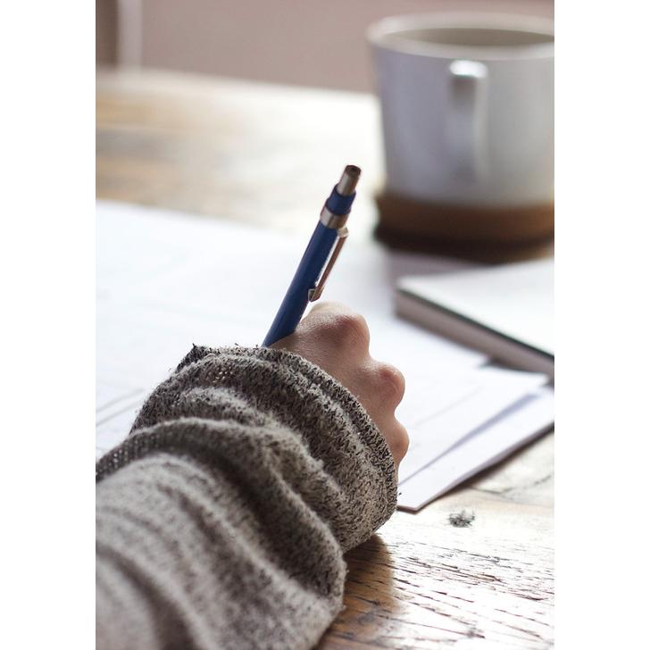 M. Steggink. Zwembaden, Zwemvijvers koivijvers, Natuurvijvers & Epdm daken Logo