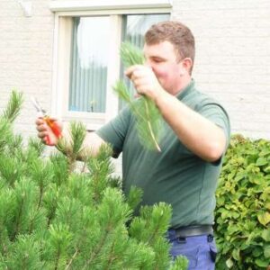 Van Dorland Hoveniers