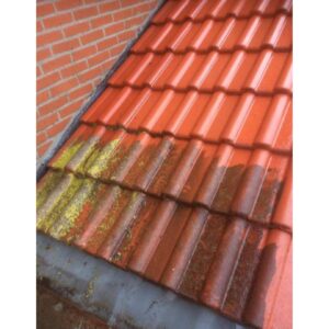 Buitenhuis Reiniging