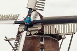 Portfolio afbeelding