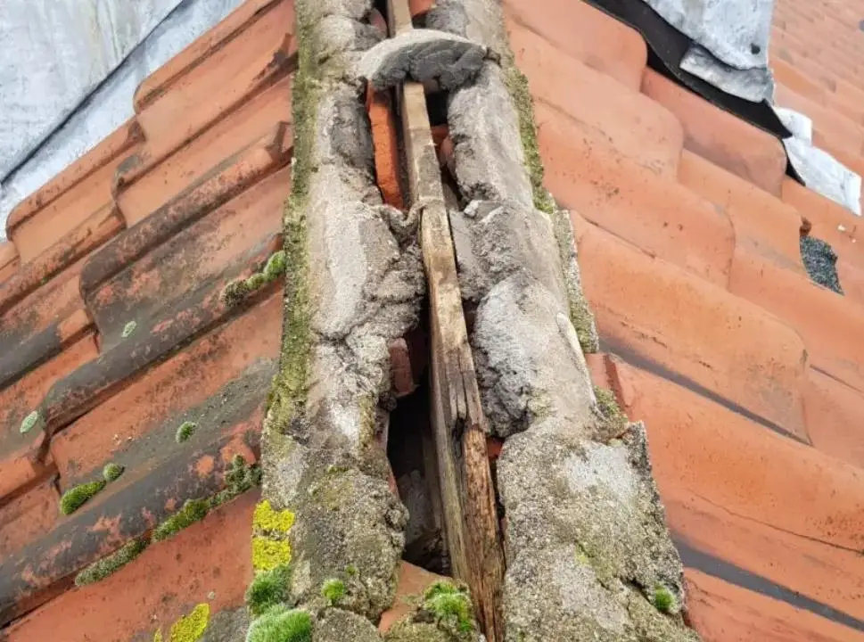 Portfolio afbeelding