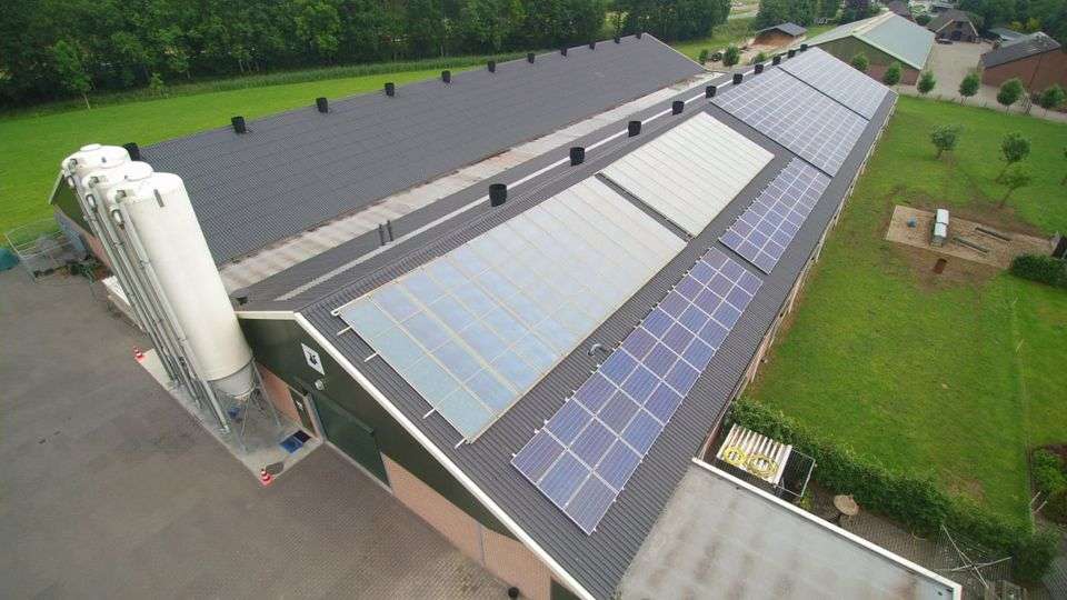 Portfolio afbeelding