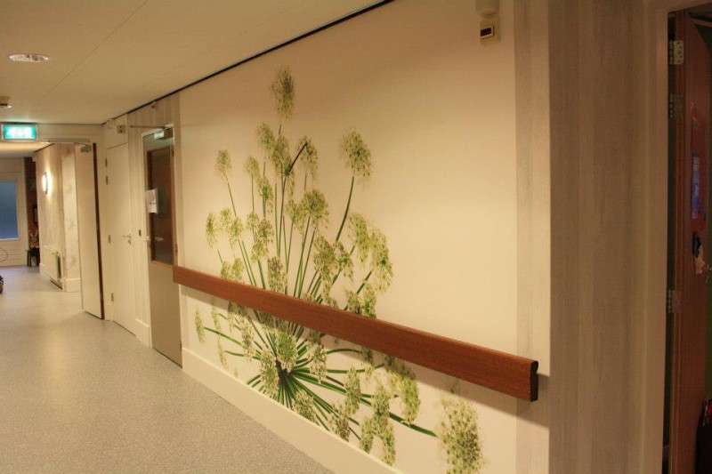 Portfolio afbeelding