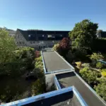 Bitumen dak Afbeelding 1