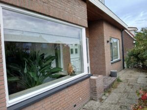 Portfolio afbeelding