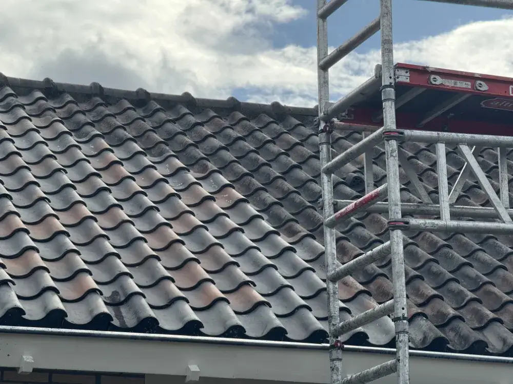 Portfolio afbeelding