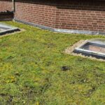 Dakrenovatie inclusief aanbrengen sedum- groendak Afbeelding 1