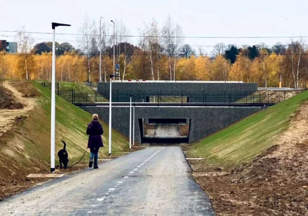 Portfolio afbeelding