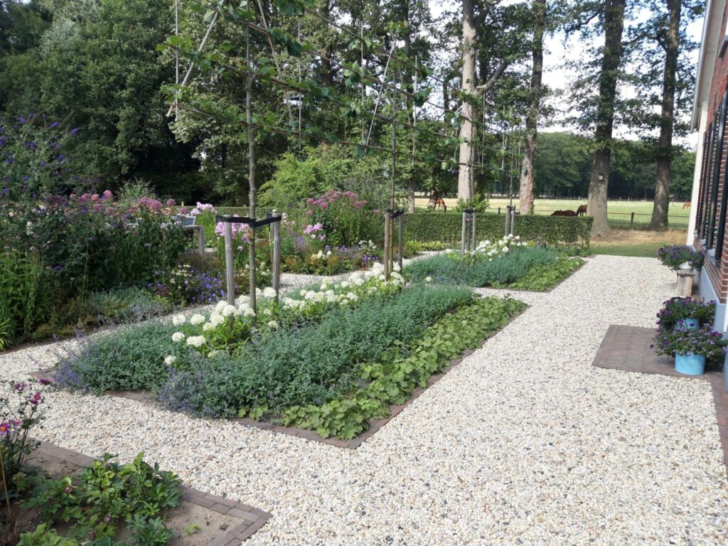 Portfolio afbeelding