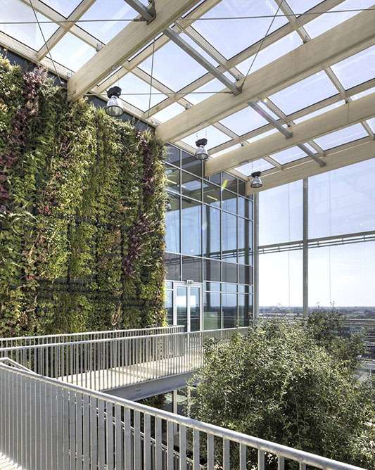 Portfolio afbeelding