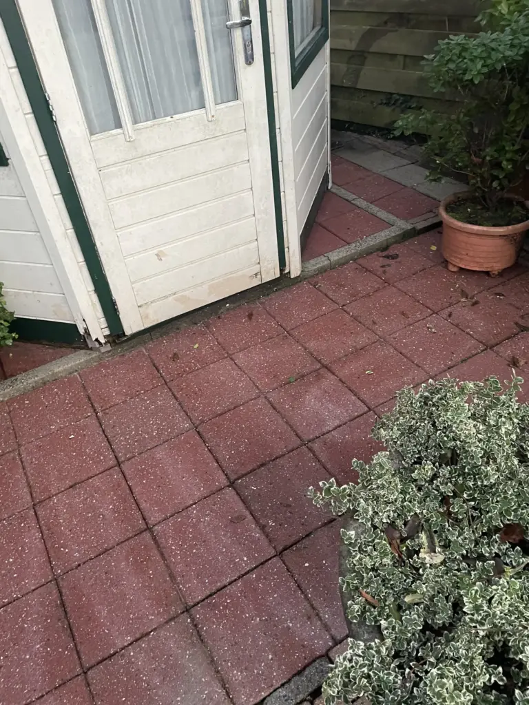 Portfolio afbeelding