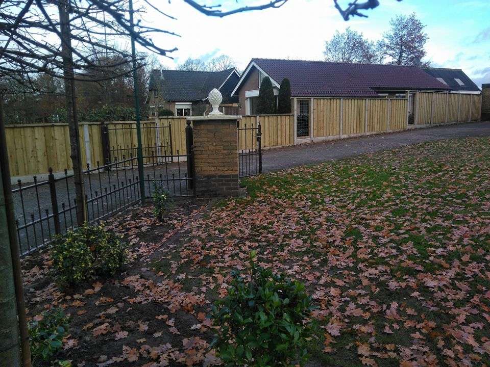 Portfolio afbeelding