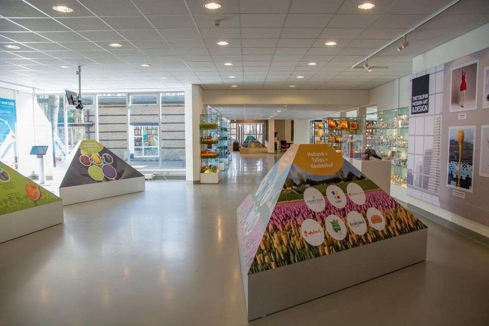 Portfolio afbeelding