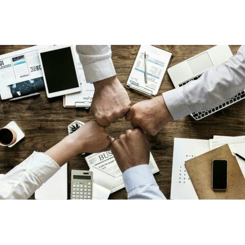 Portfolio afbeelding