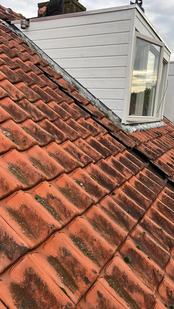 Portfolio afbeelding