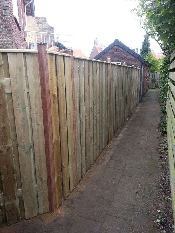 Portfolio afbeelding