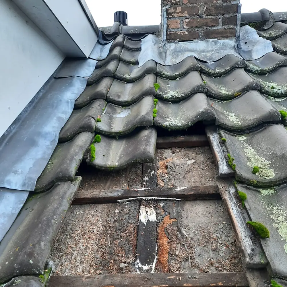 Portfolio afbeelding