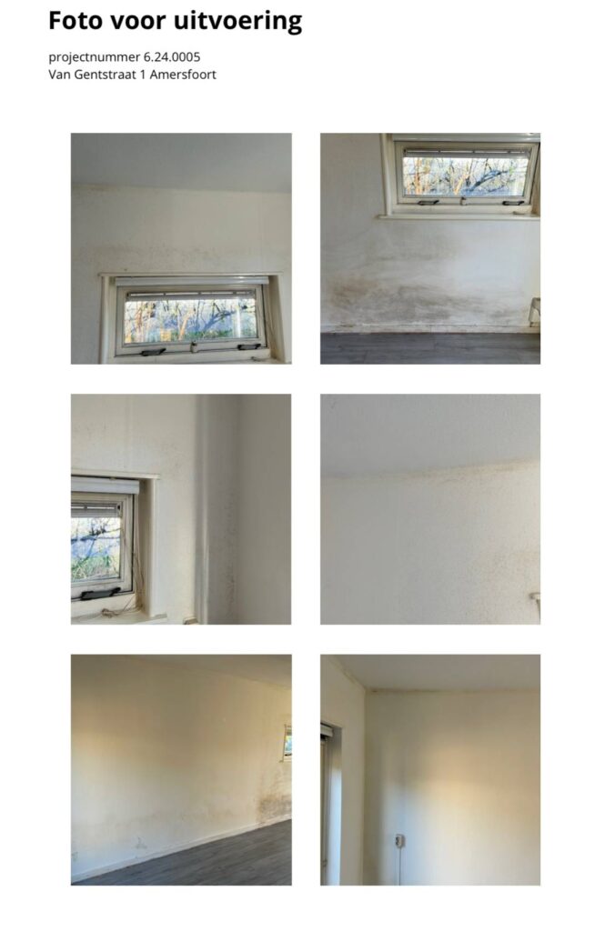 Portfolio afbeelding