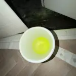 Lekdetectie Oegstgeest Afbeelding 1