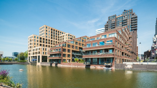 Portfolio afbeelding