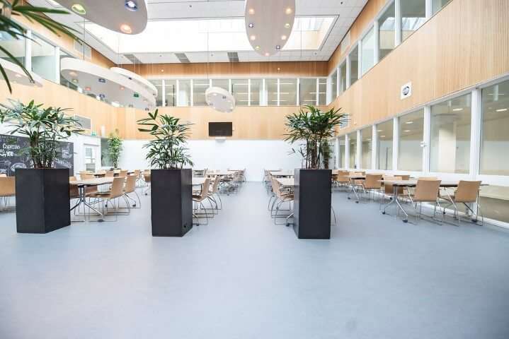 Portfolio afbeelding