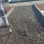 Platdak renovatie Afbeelding 1