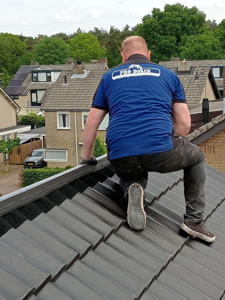 Portfolio afbeelding