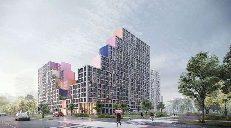 Portfolio afbeelding