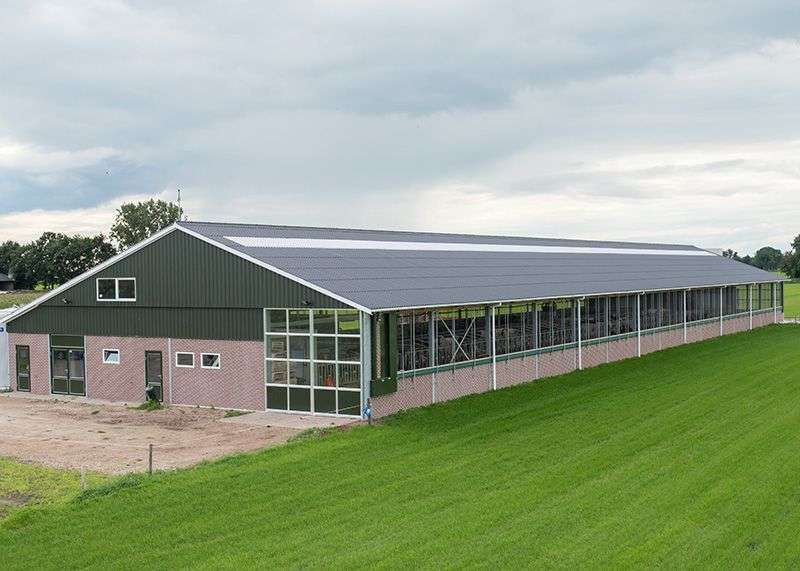 Portfolio afbeelding