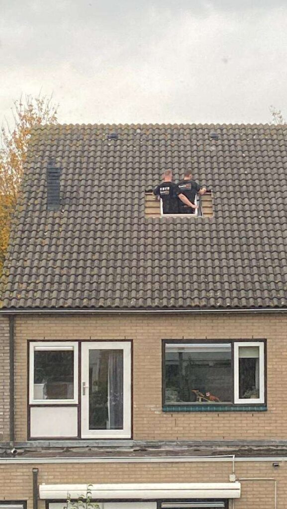 Portfolio afbeelding