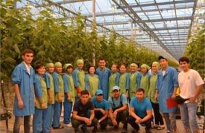 Portfolio afbeelding