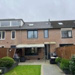 Pannen dak Afbeelding 1