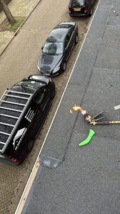 Portfolio afbeelding