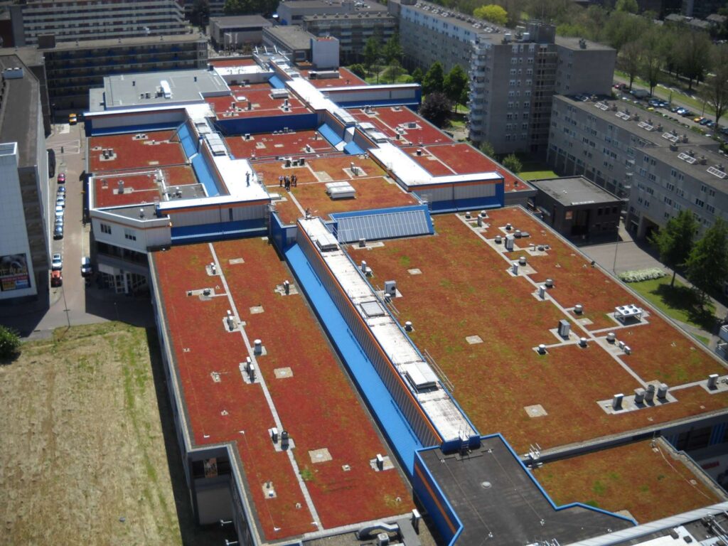 Portfolio afbeelding