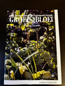 Portfolio afbeelding