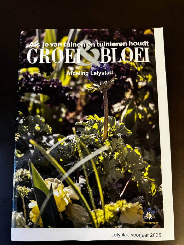 Portfolio afbeelding