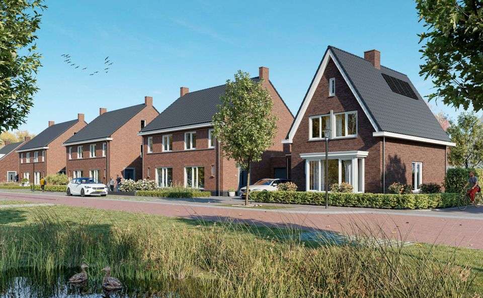 Portfolio afbeelding